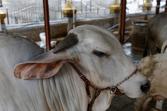 Wat Hua Lamphong-NOV13-021
